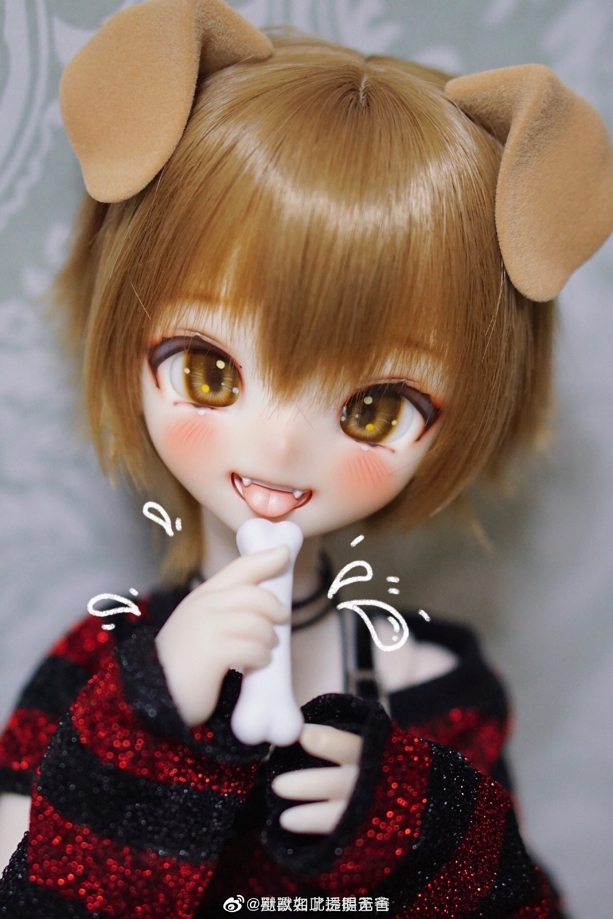 Shoushoudoll - Cat cocoa (BJD Head) : PreOrder - Anubis Doll Café
