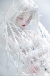 AEDOLL x XAGADOLL - NEVE 1/4 (BJD Nudedoll , Fullset) : PreOrder - Anubis Doll Café