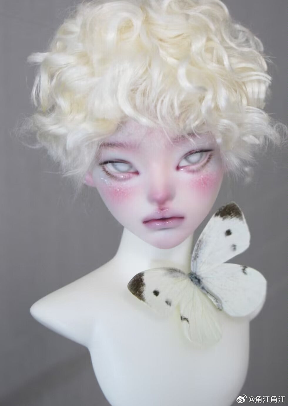 Jiaojiang - Amao (BJD Head) : PreOrder - Anubis Doll Café
