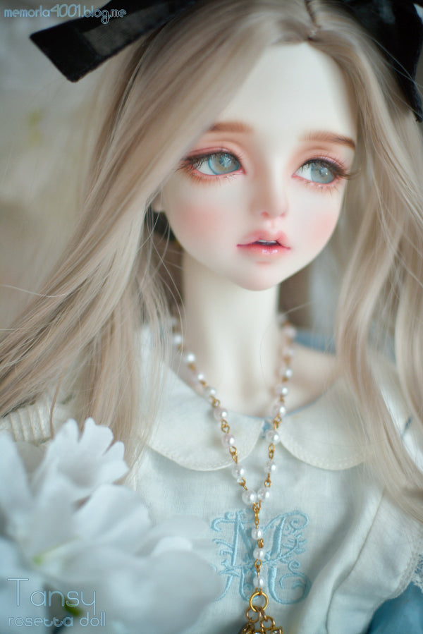 Rosetta doll - Tansy (BJD Head) : PreOrder - Anubis Doll Café