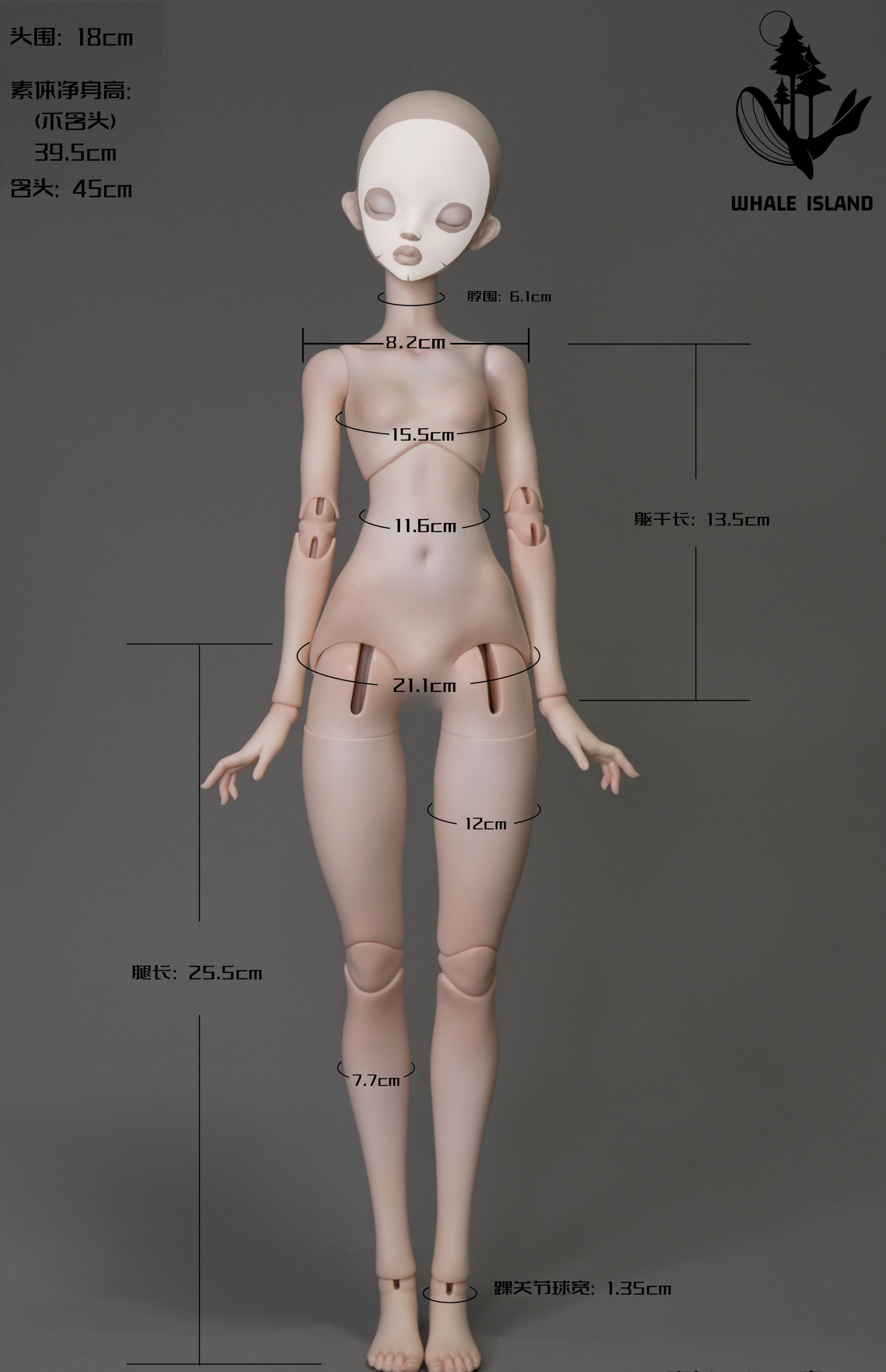 Whale Island - 1/4(BJD Body) : PreOrder - Anubis Doll Café
