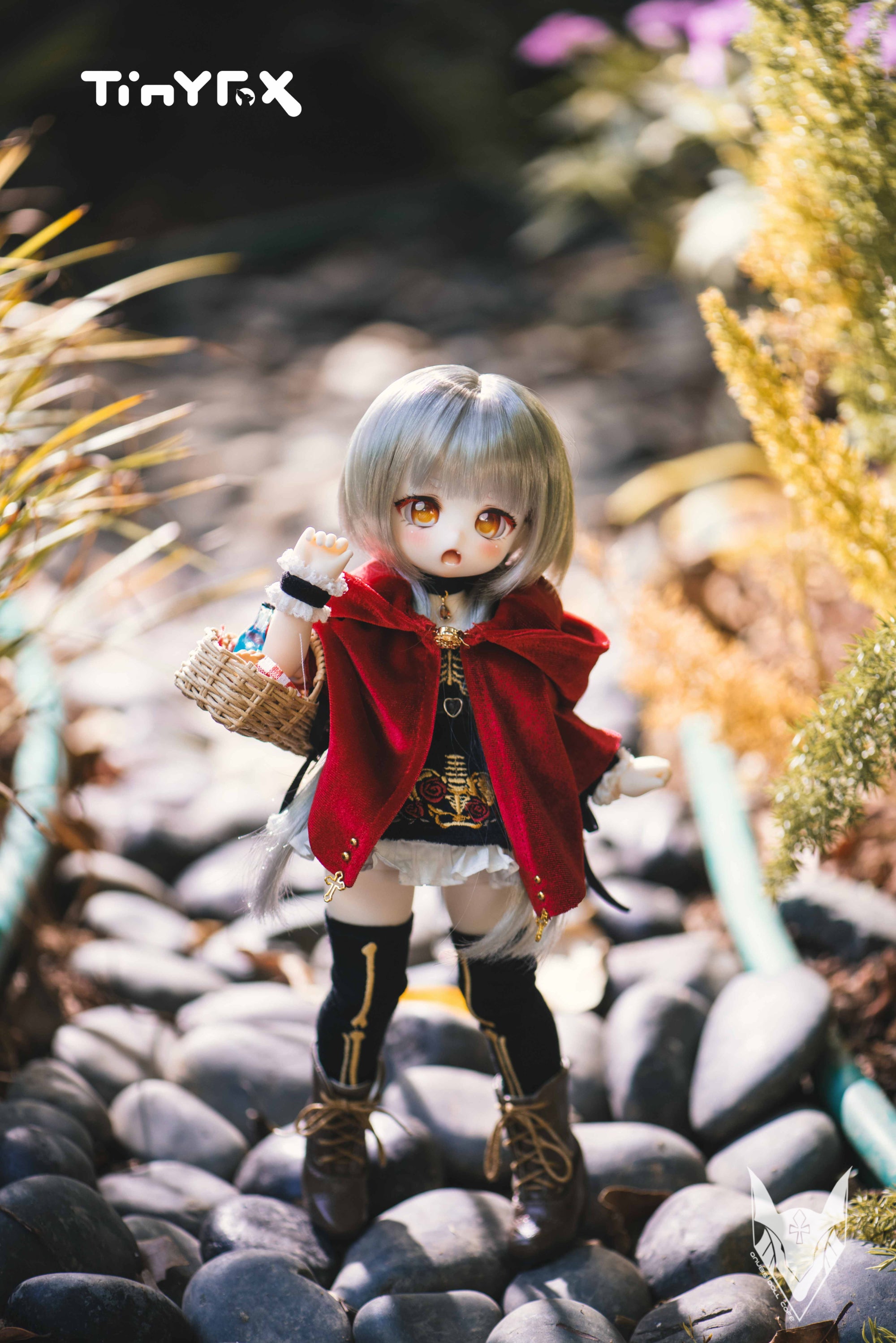 Tinyfox Fullset Little Anna : PreOrder – Anubis Doll Café