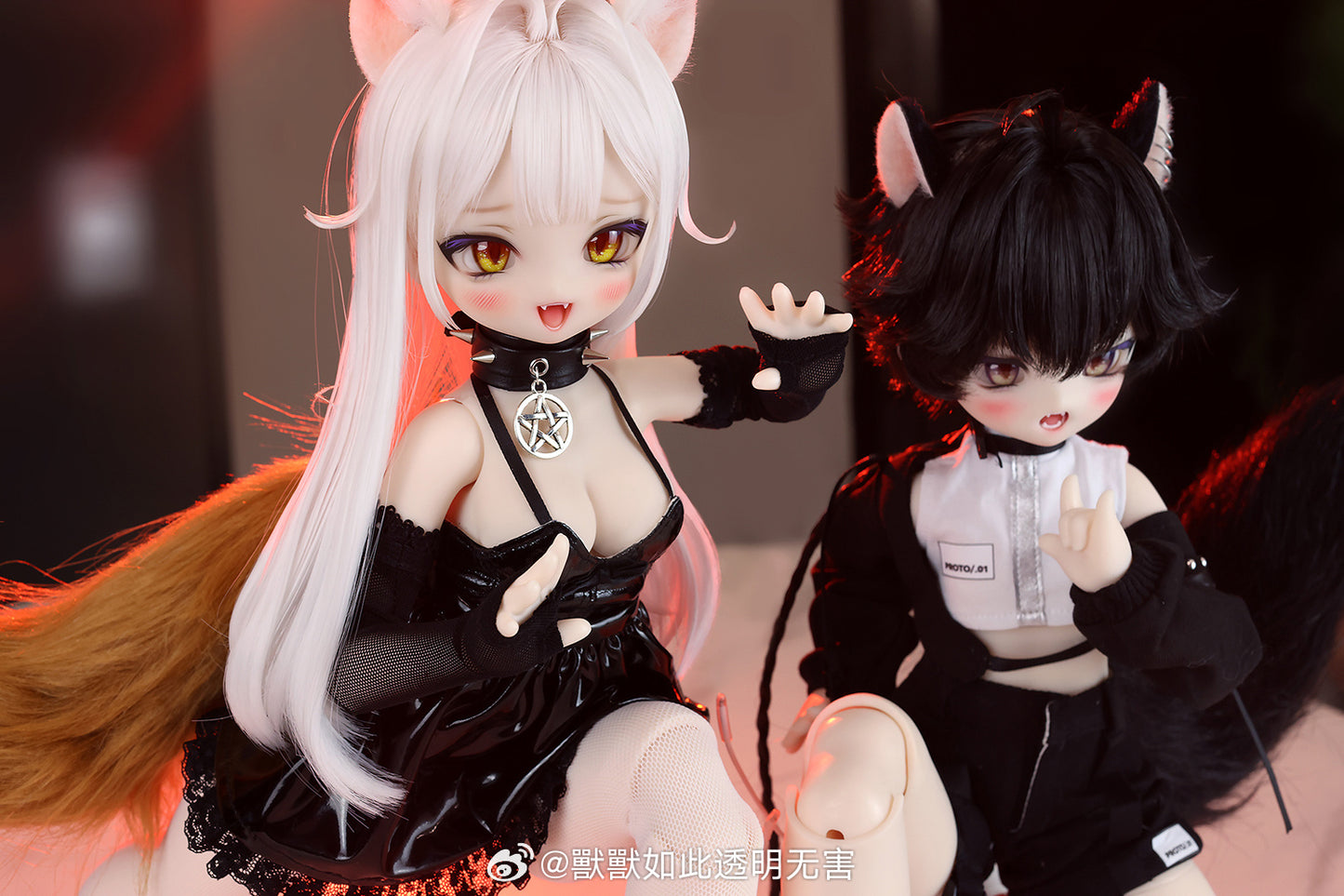 Shoushoudoll - Big Meow Bean (หัวBJD) : พร้อมส่ง