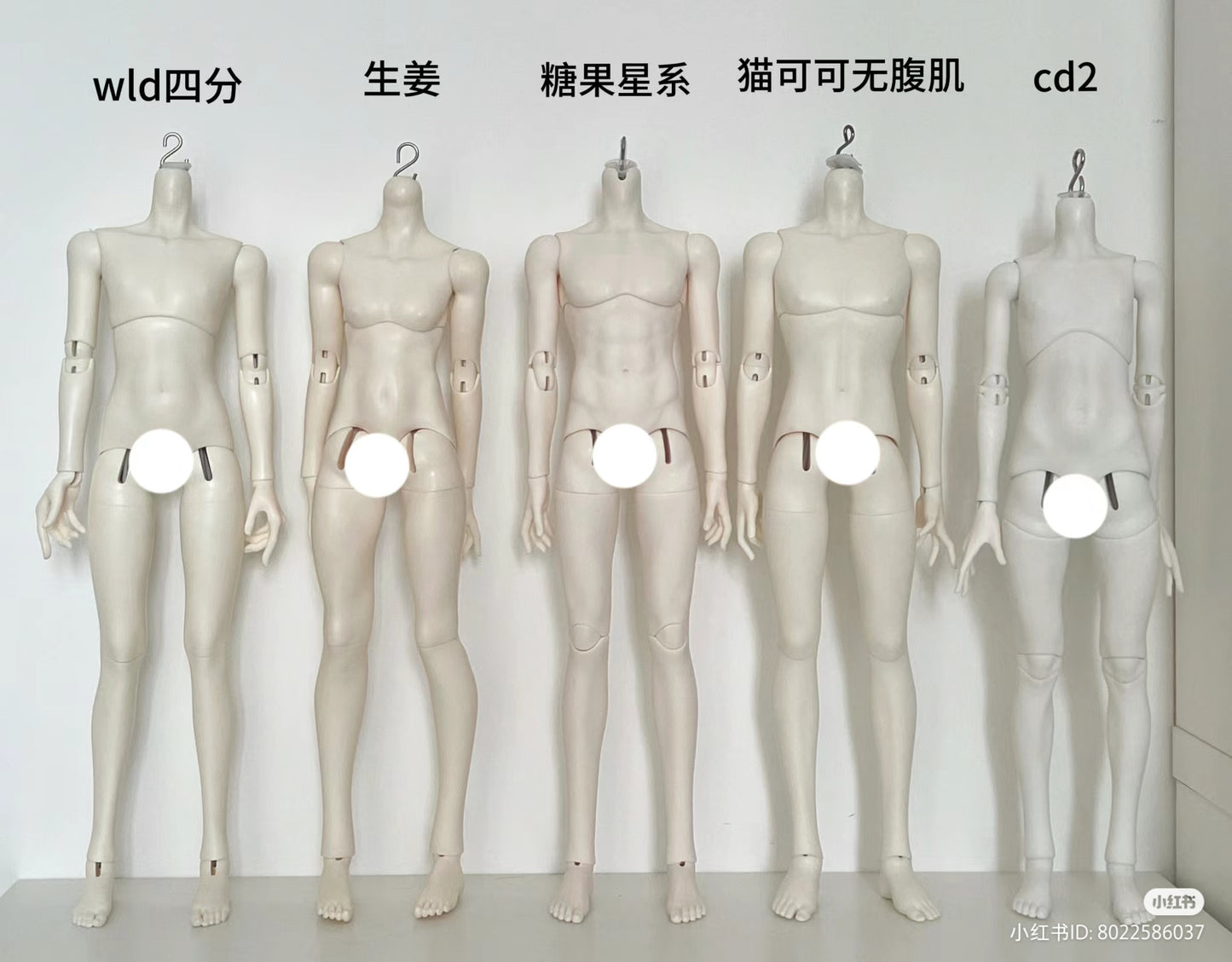 BonbonGalaxy - Mangosteen Body (BJD 1/4 body) : PreOrder