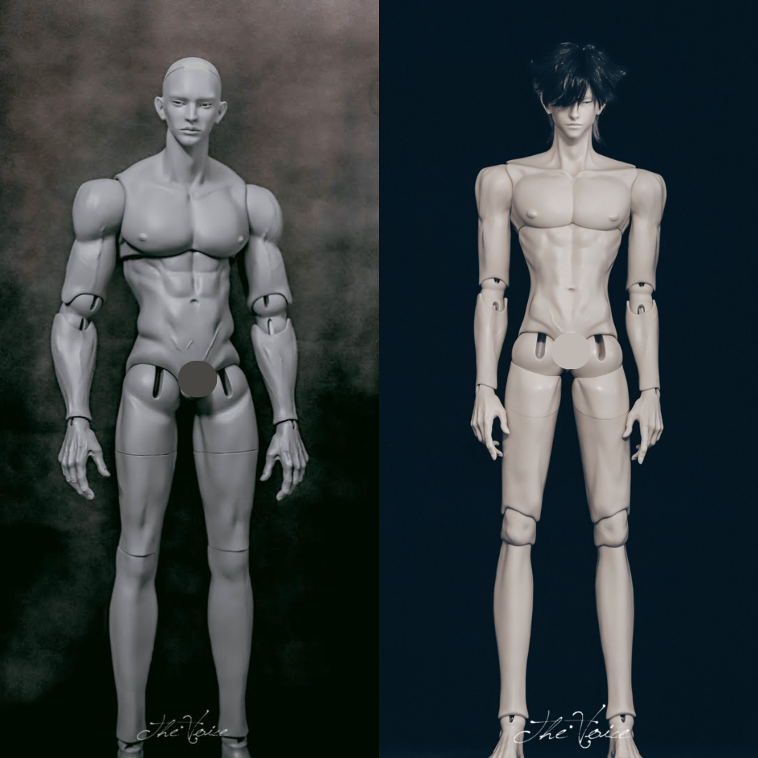 the Voice - Eagle body and Sun body group order (BJD body) : PreOrder