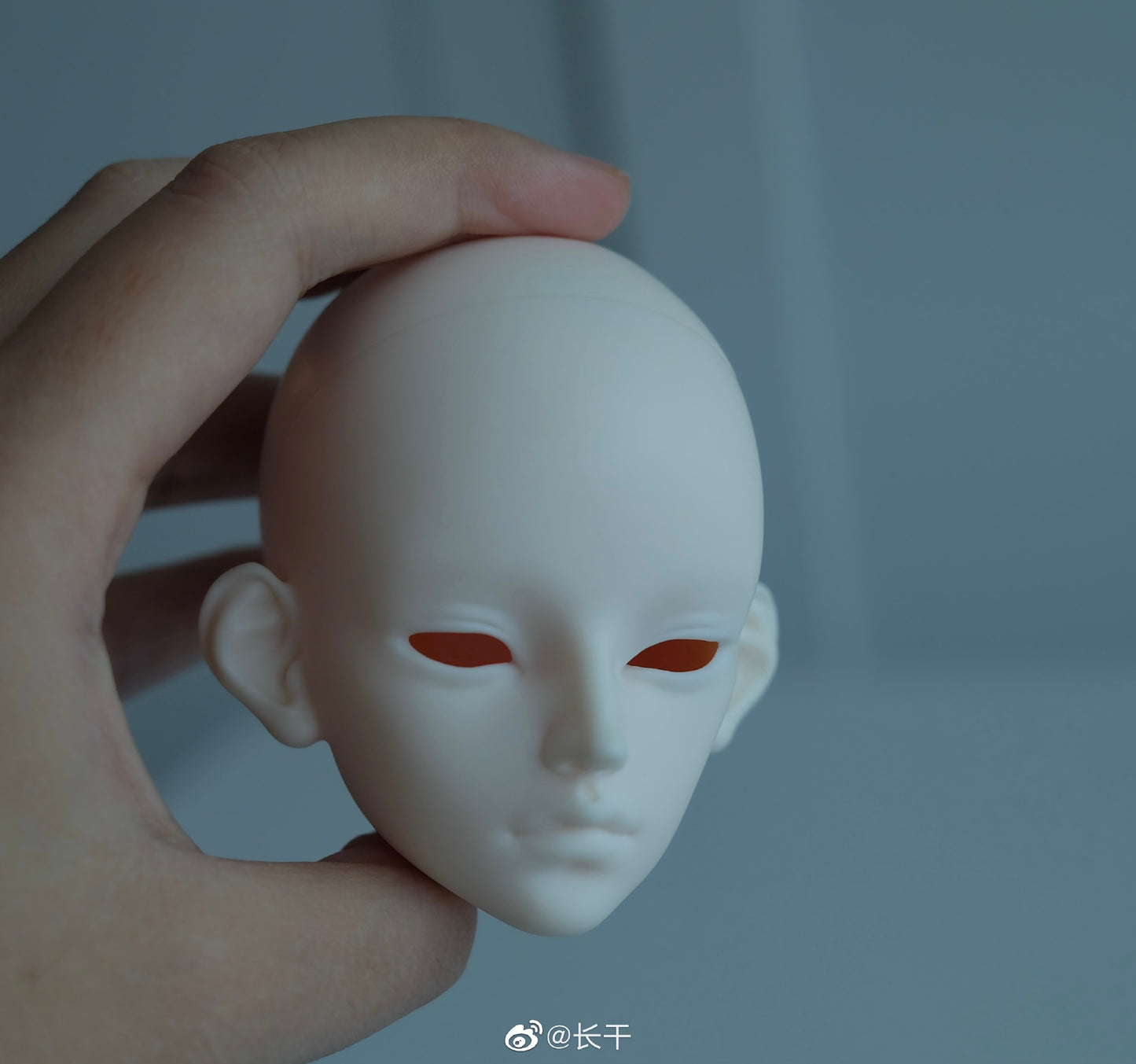 Long dry - Lu Zhi (BJD Head) - Anubis Doll Café