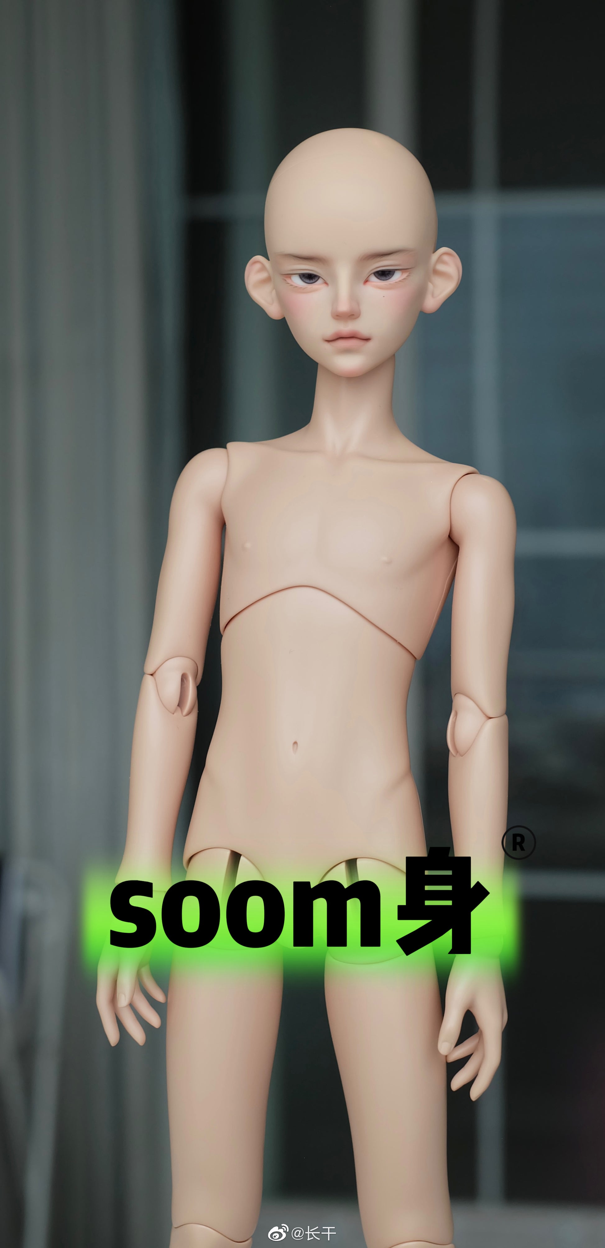 Long dry - Lu Zhi (BJD Head) - Anubis Doll Café