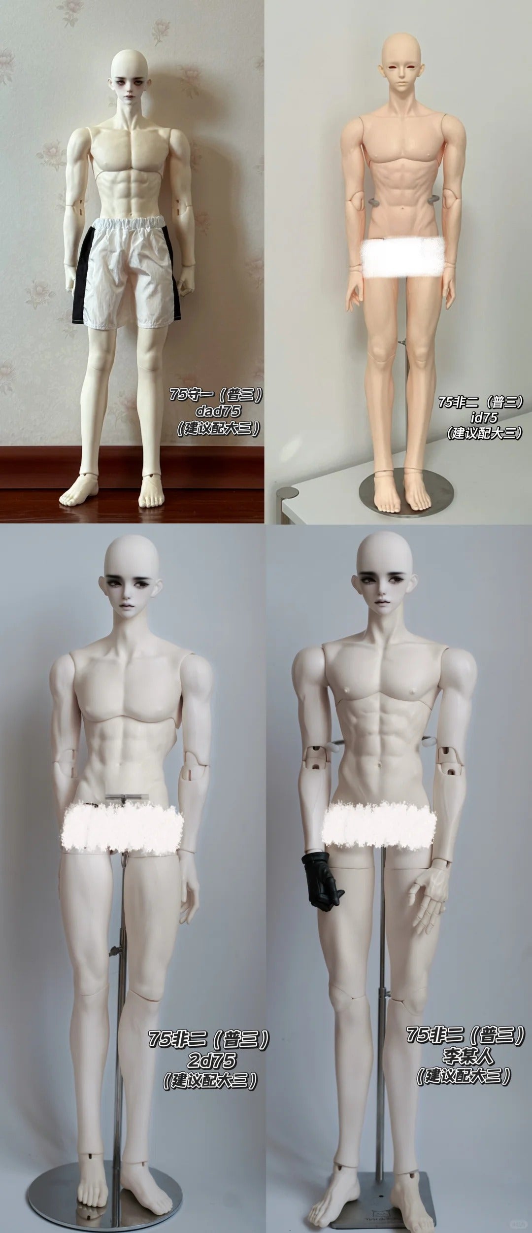 A cat bo - Shou Yi & Fei Er 70 and 75 (BJD Head) : PreOrder