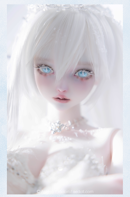 AEDOLL x XAGADOLL - NEVE (BJD Nudedoll , Fullset) : PreOrder - Anubis Doll Café