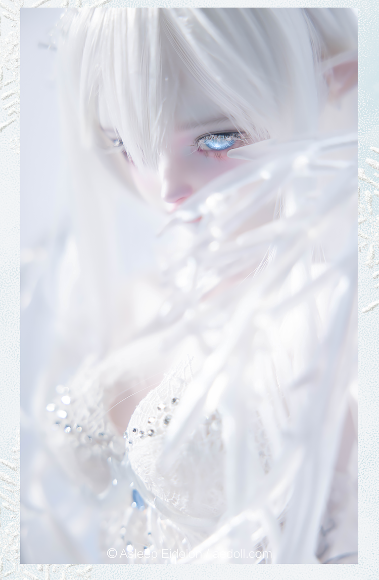 AEDOLL x XAGADOLL - NEVE (BJD Nudedoll , Fullset) : PreOrder - Anubis Doll Café