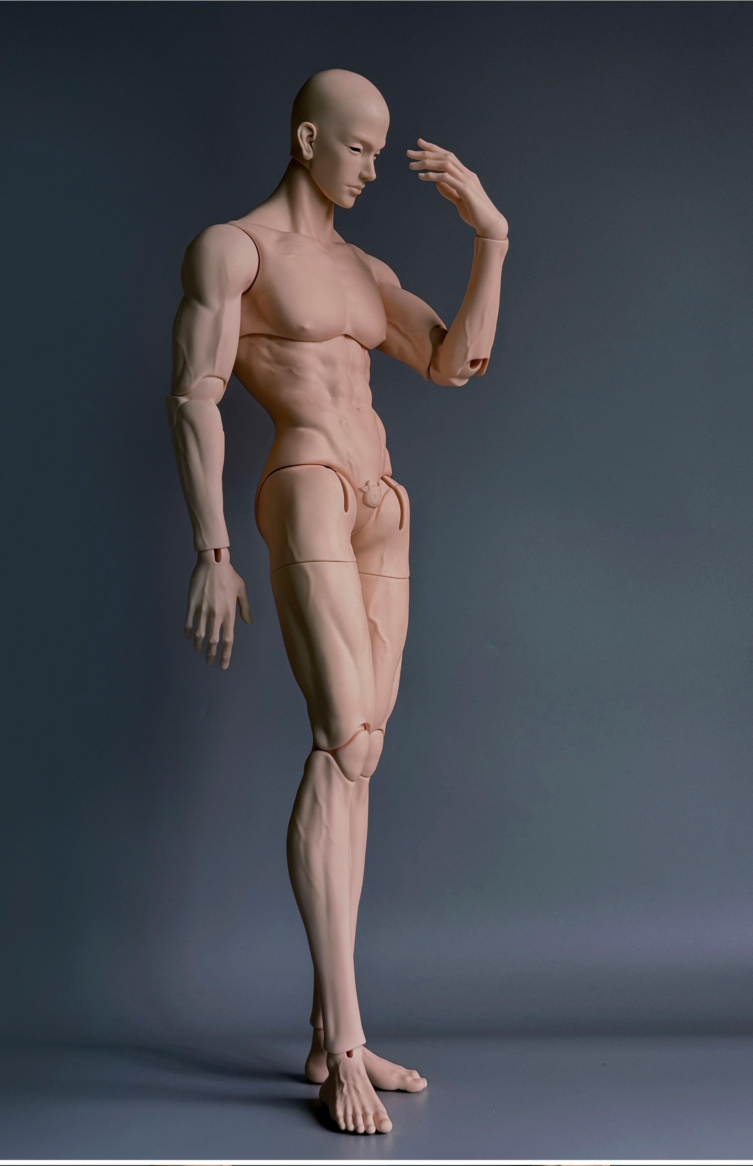 AMandoll - AM77 (บอดี้BJD) : พรีออเดอร์