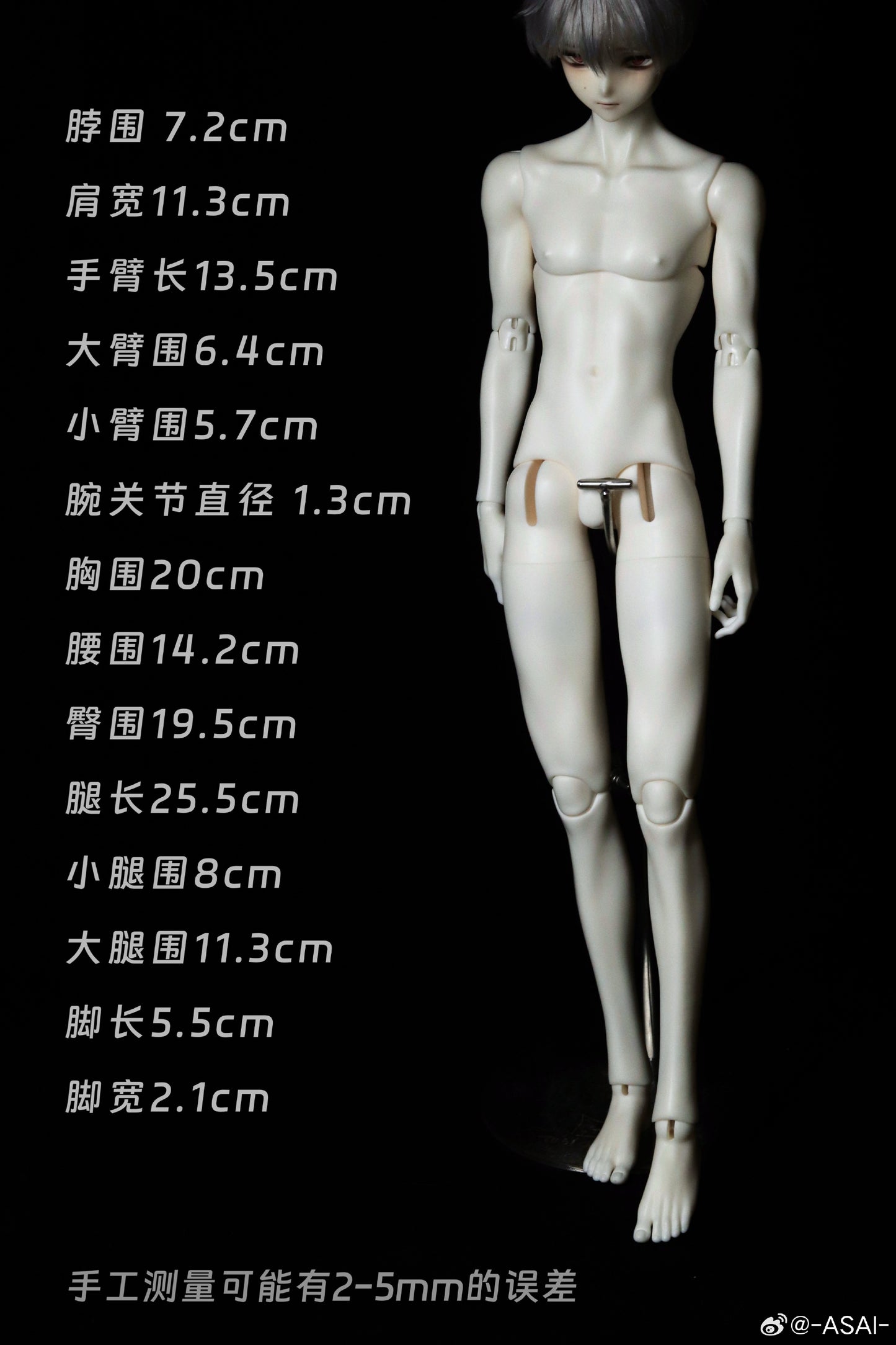 Asai - Hoshikuzu , Asai47 (หัว,บอดี้,นู๊ดดอลBJD) : พรีออเดอร์