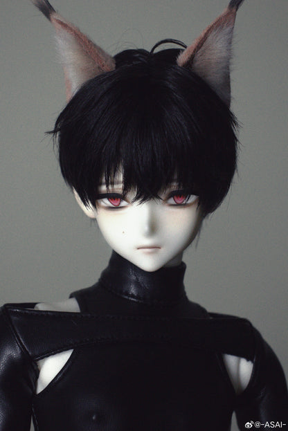 Asai - Hoshikuzu , Asai47 (BJD Head,Body,Nudedoll) : PreOrder - Anubis Doll Café