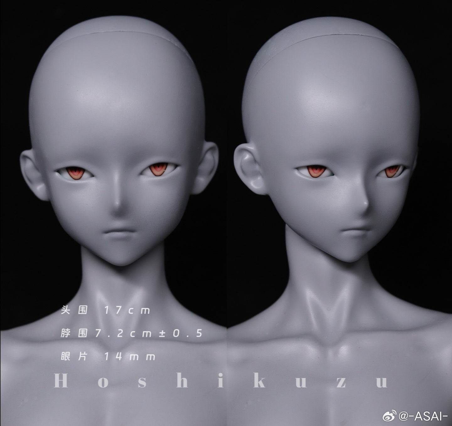 Asai - Hoshikuzu , Asai47 (หัว,บอดี้,นู๊ดดอลBJD) : พรีออเดอร์