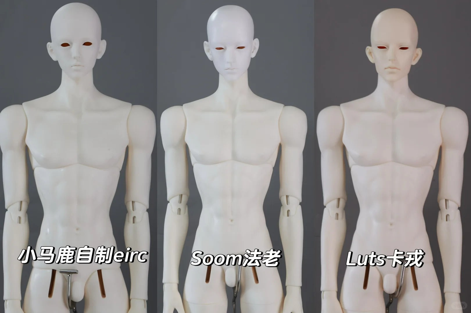 Asai - Wild Dog , Asai75/77 (BJD Head,Body,Nudedoll) : PreOrder