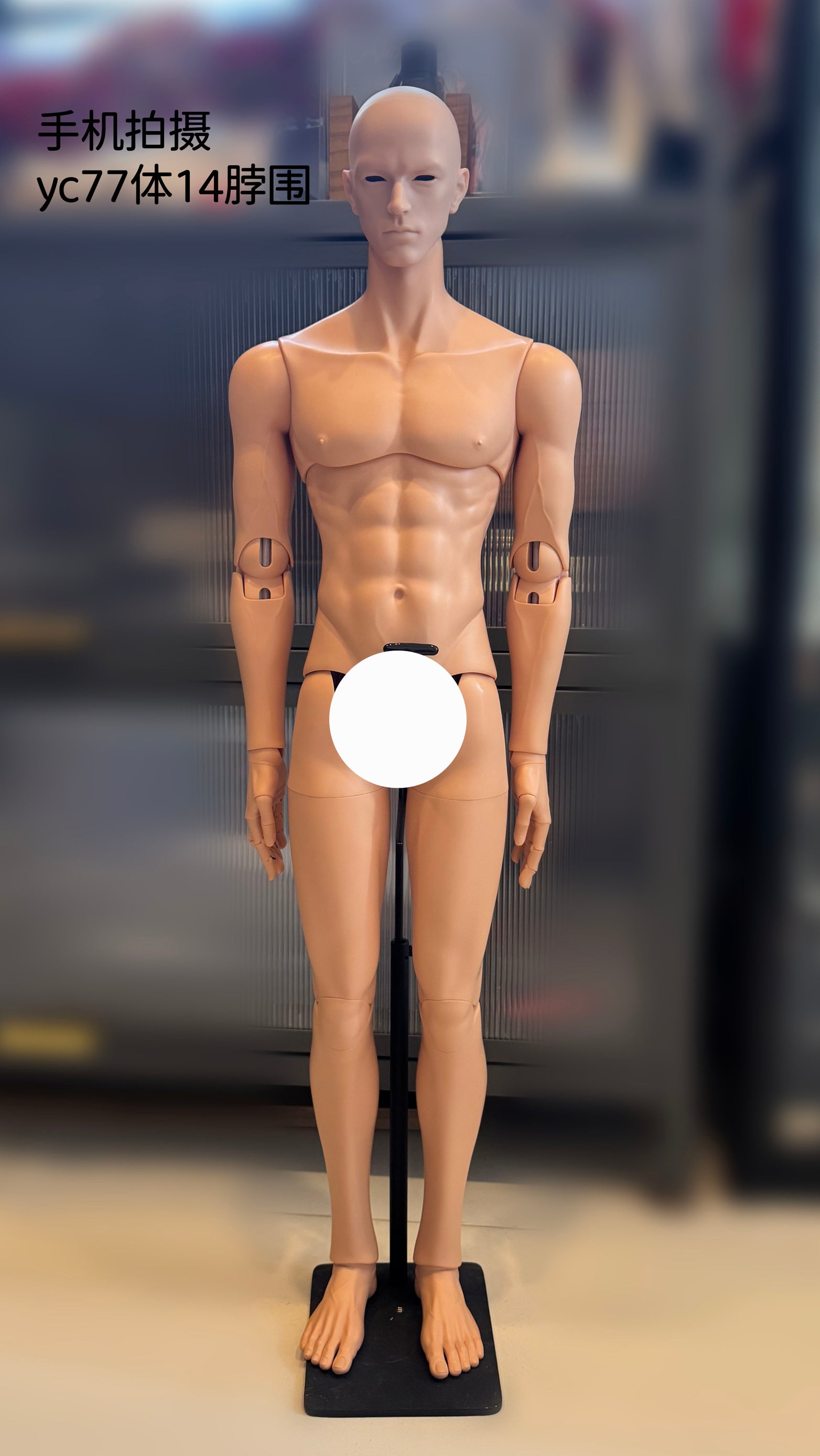 BUNS DOLL - Ares (หัวBJD) : พรีออเดอร์