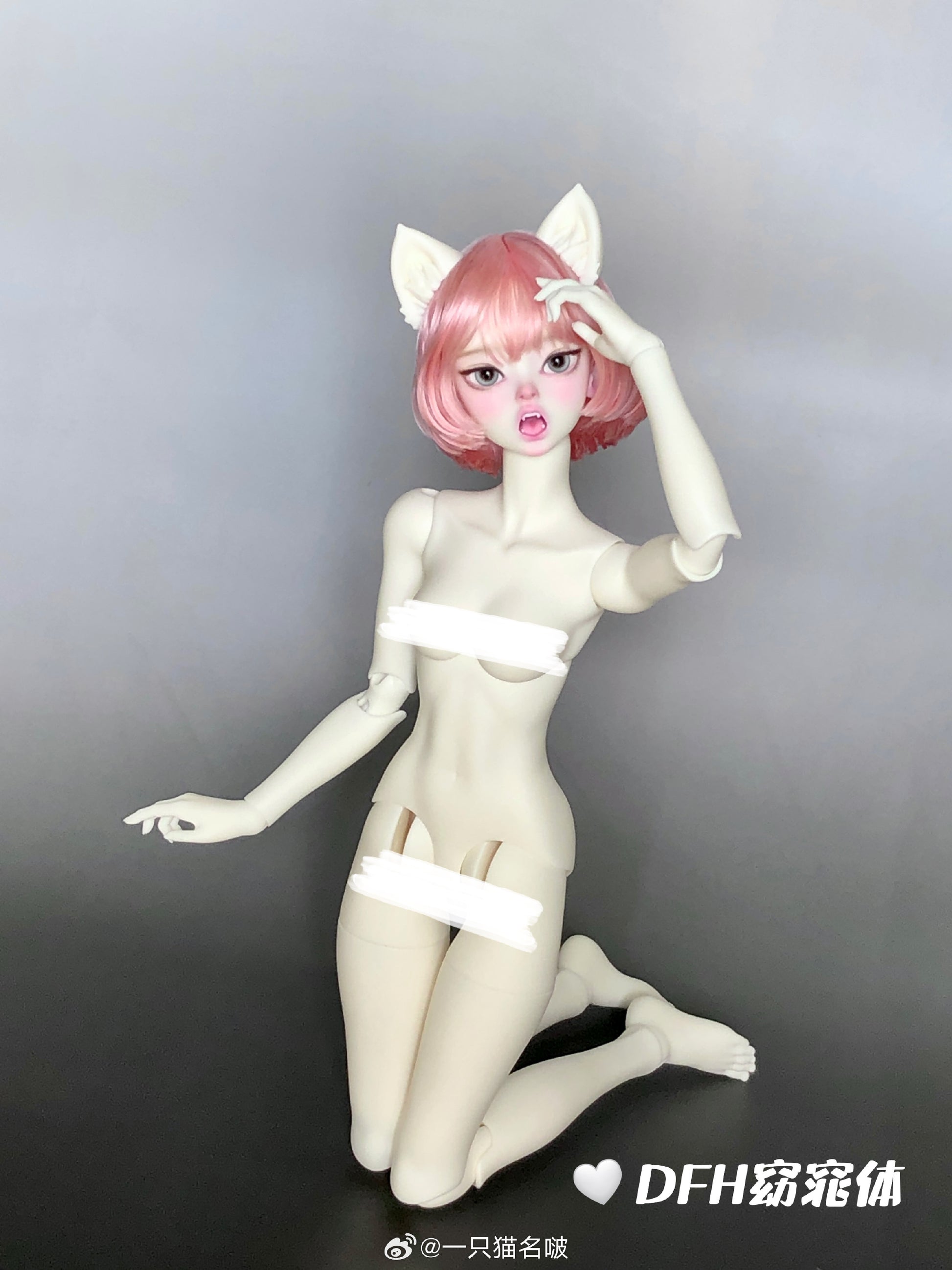 A cat Bo - HAKIMI (BJD Head) : InStock - Anubis Doll Café