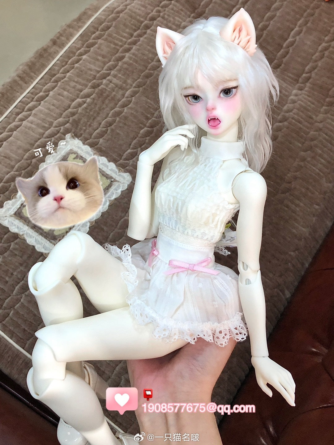 A cat Bo - HAKIMI (BJD Head) : InStock - Anubis Doll Café