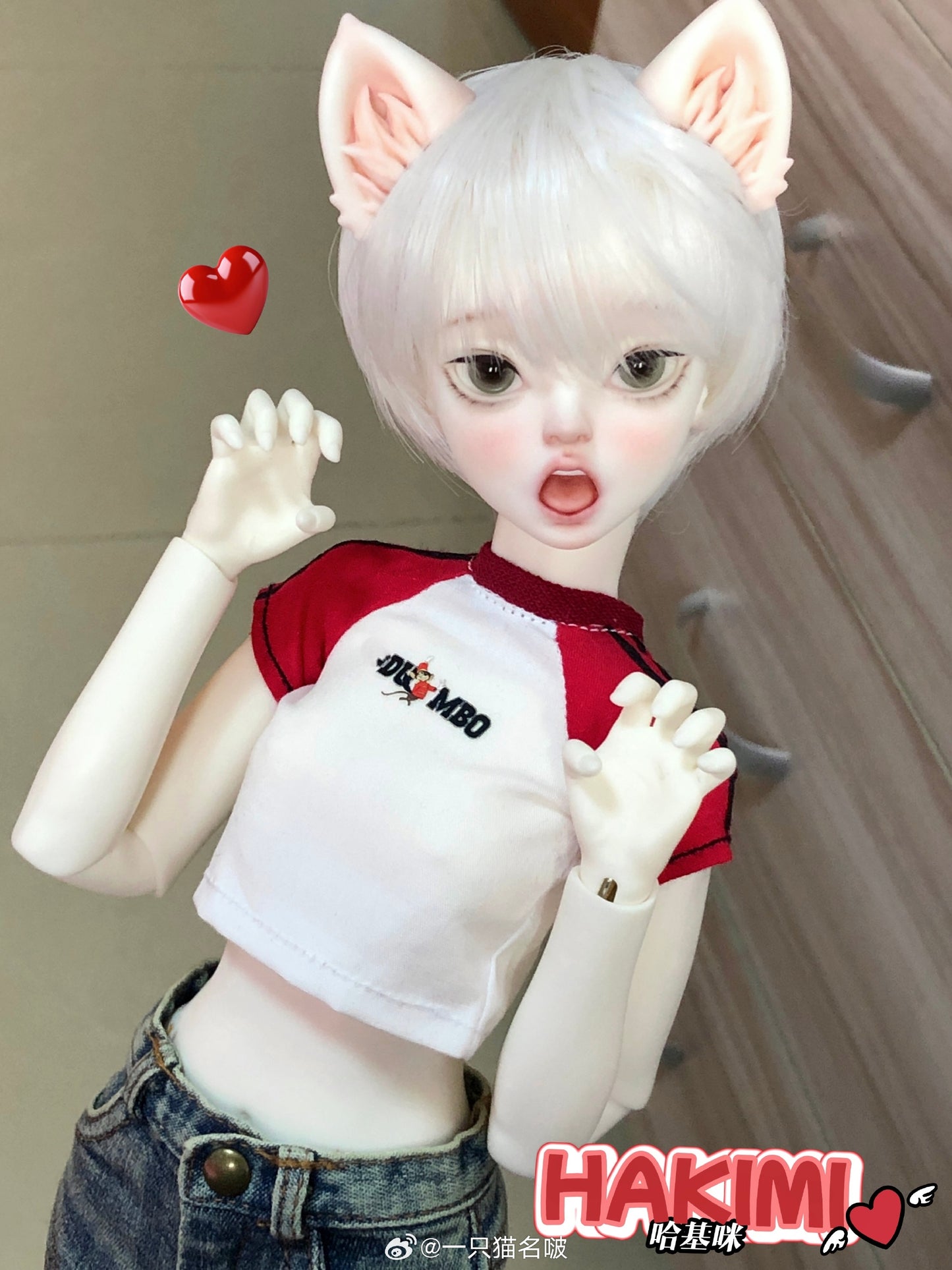 A cat Bo - HAKIMI (BJD Head) : InStock - Anubis Doll Café