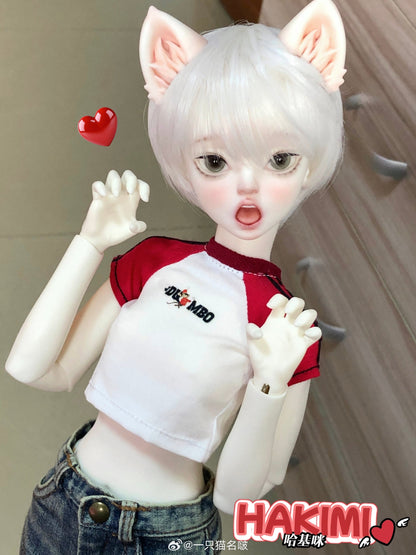 A cat Bo - HAKIMI (BJD Head) : PreOrder - Anubis Doll Café