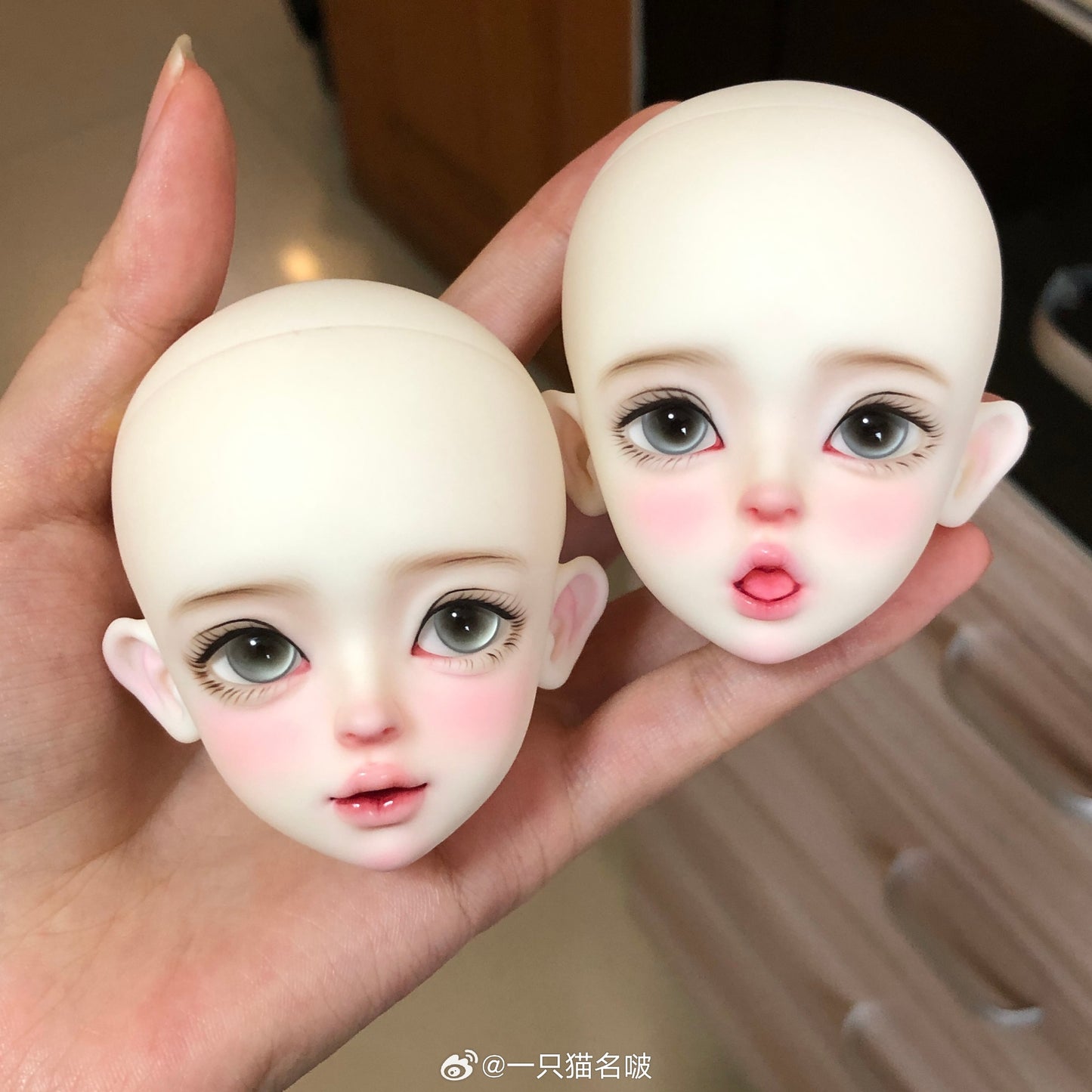 A cat bo - Poby (BJD Head) : PreOrder - Anubis Doll Café