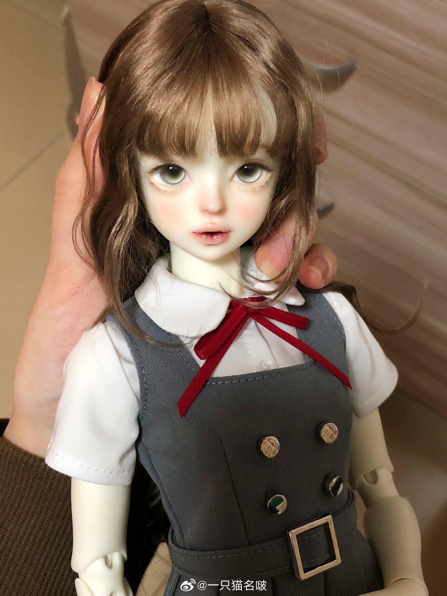 A cat bo - Poby (BJD Head) : PreOrder - Anubis Doll Café