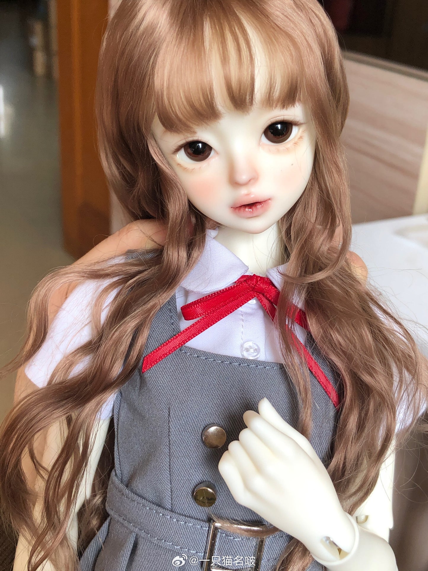 A cat bo - Poby (BJD Head) : PreOrder - Anubis Doll Café