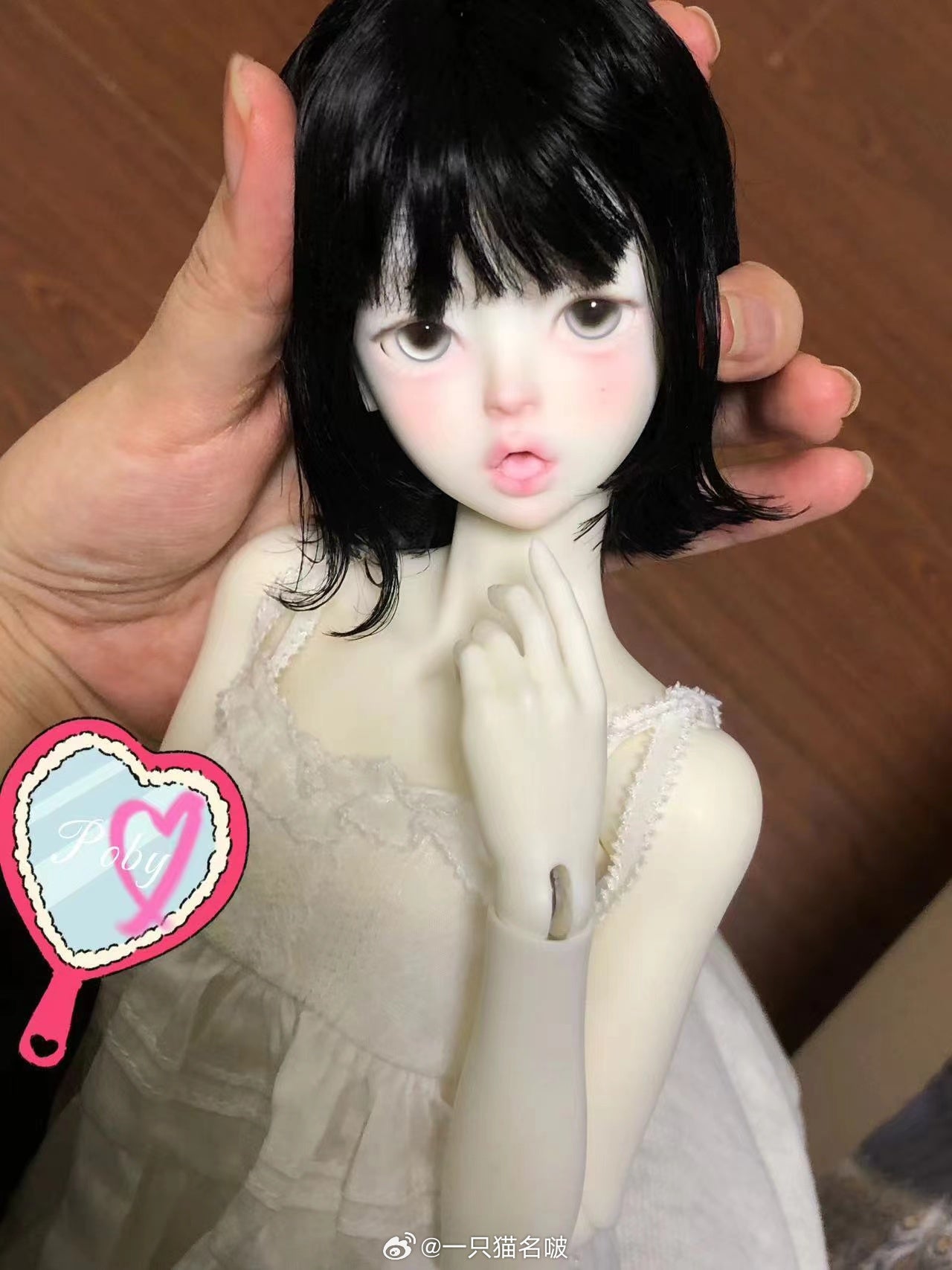 A cat bo - Poby (BJD Head) : PreOrder - Anubis Doll Café