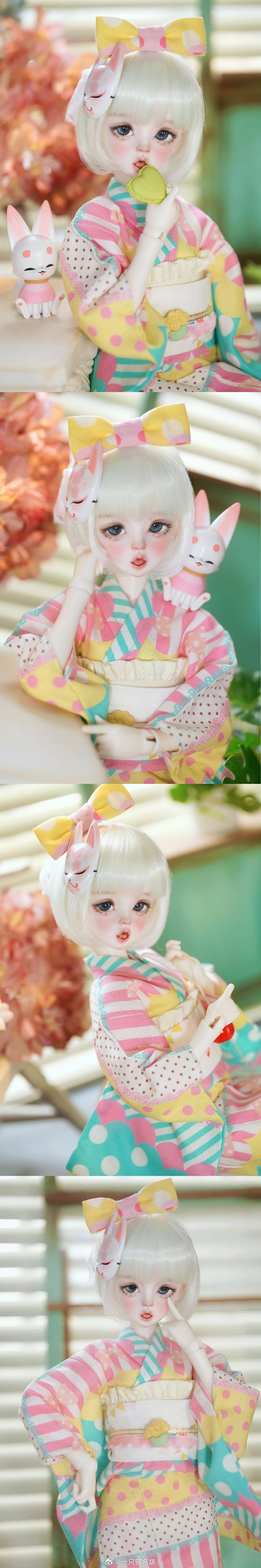 A cat bo - Poby (BJD Head) : PreOrder - Anubis Doll Café