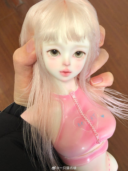 A cat bo - Poby (BJD Head) : PreOrder - Anubis Doll Café