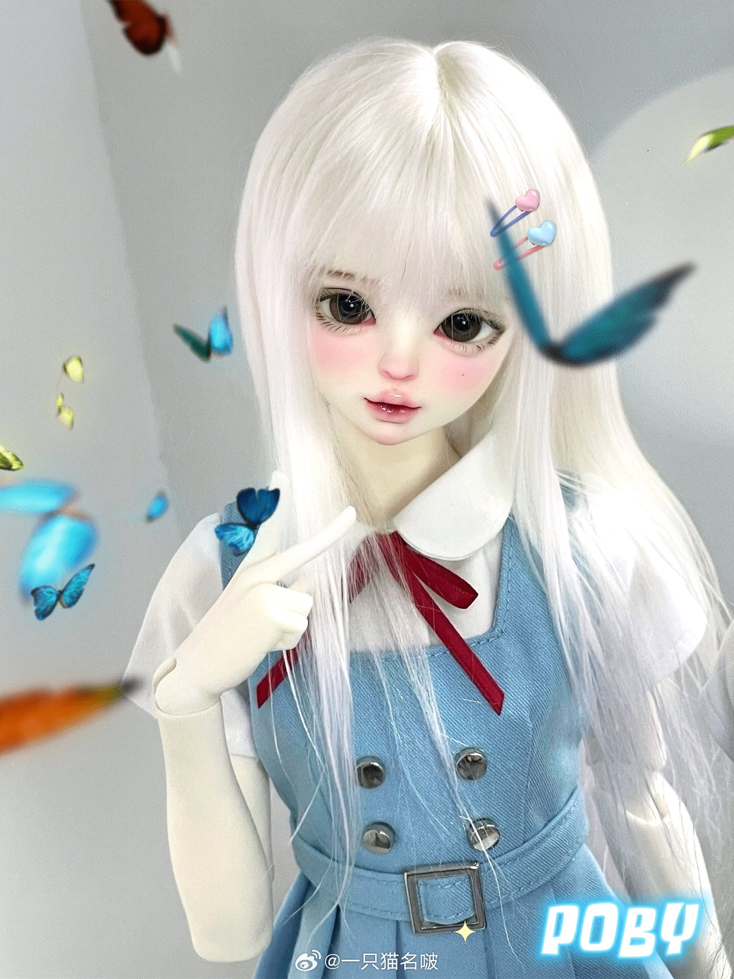 A cat bo - Poby (BJD Head) : PreOrder - Anubis Doll Café