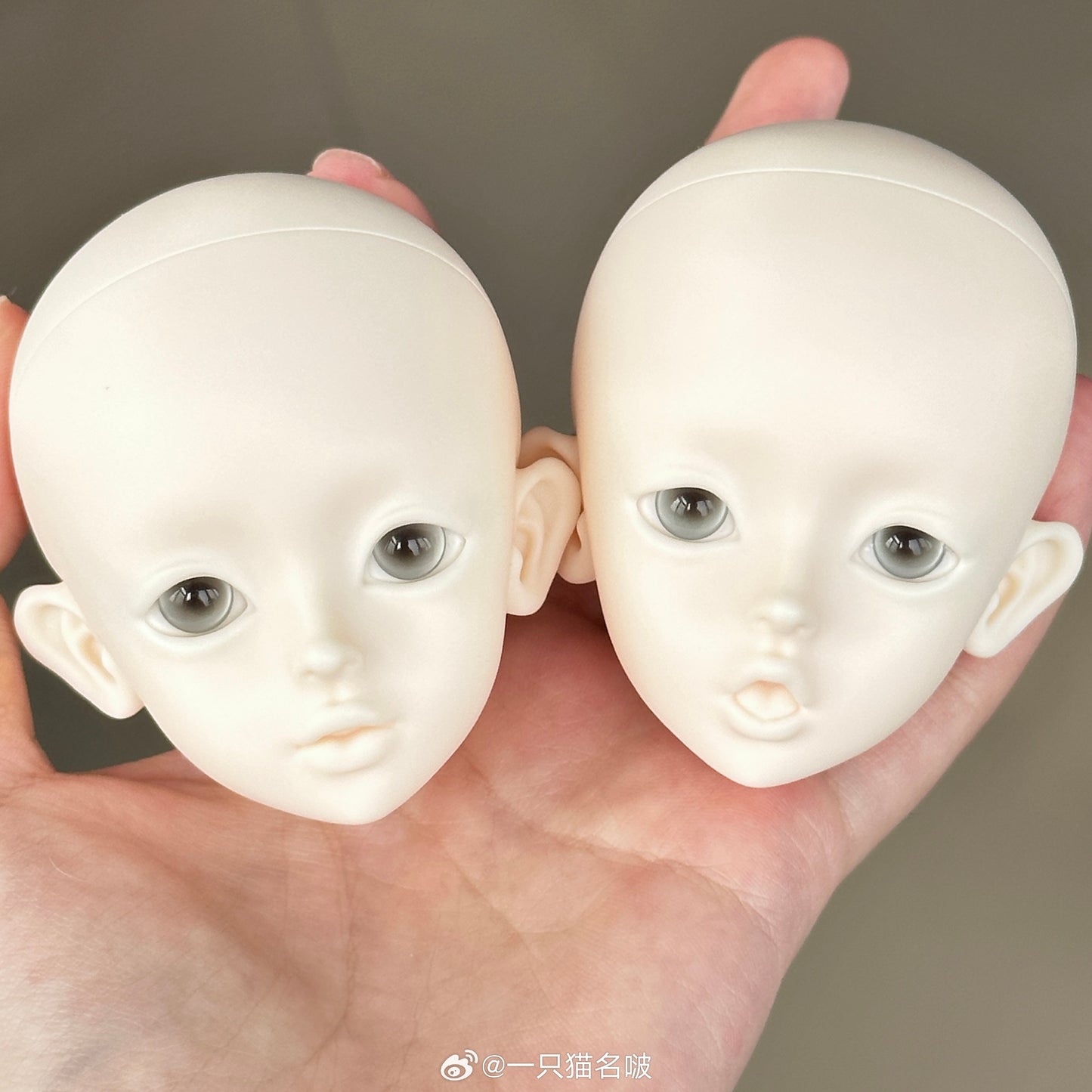 A cat bo - Poby (BJD Head) : PreOrder - Anubis Doll Café