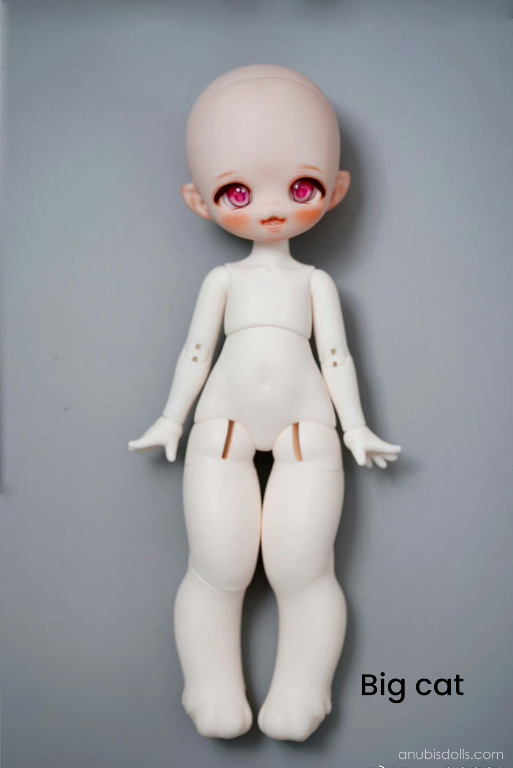 Caroro - Cheese Cat (BJD 1/6) : PreOrder