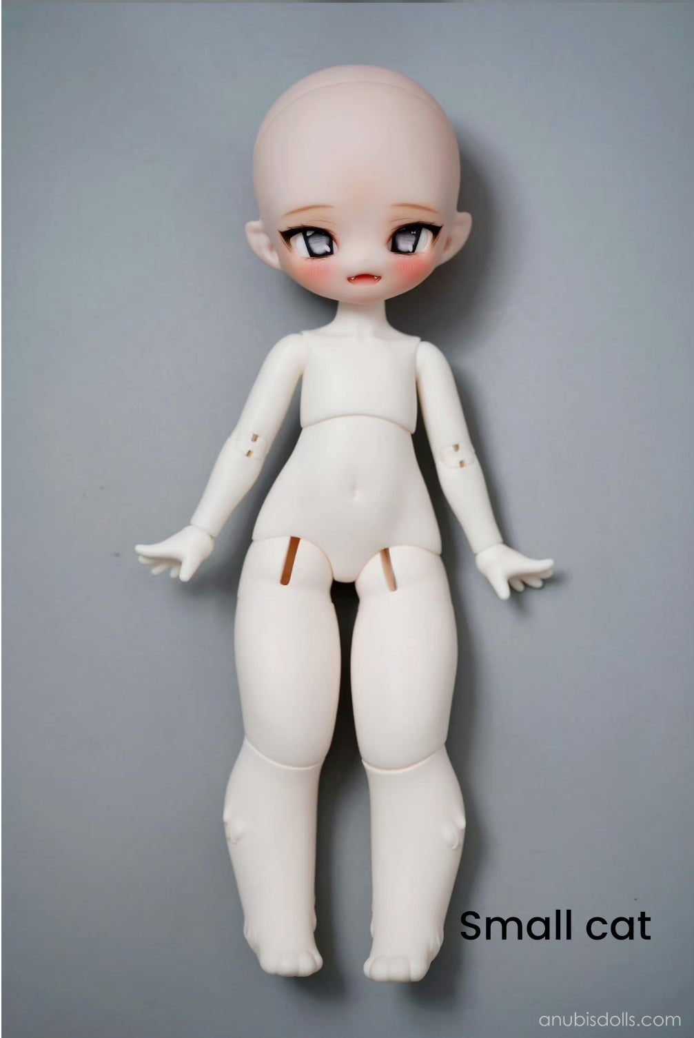 Caroro - Cheese Cat (BJD 1/6) : พรีออเดอร์