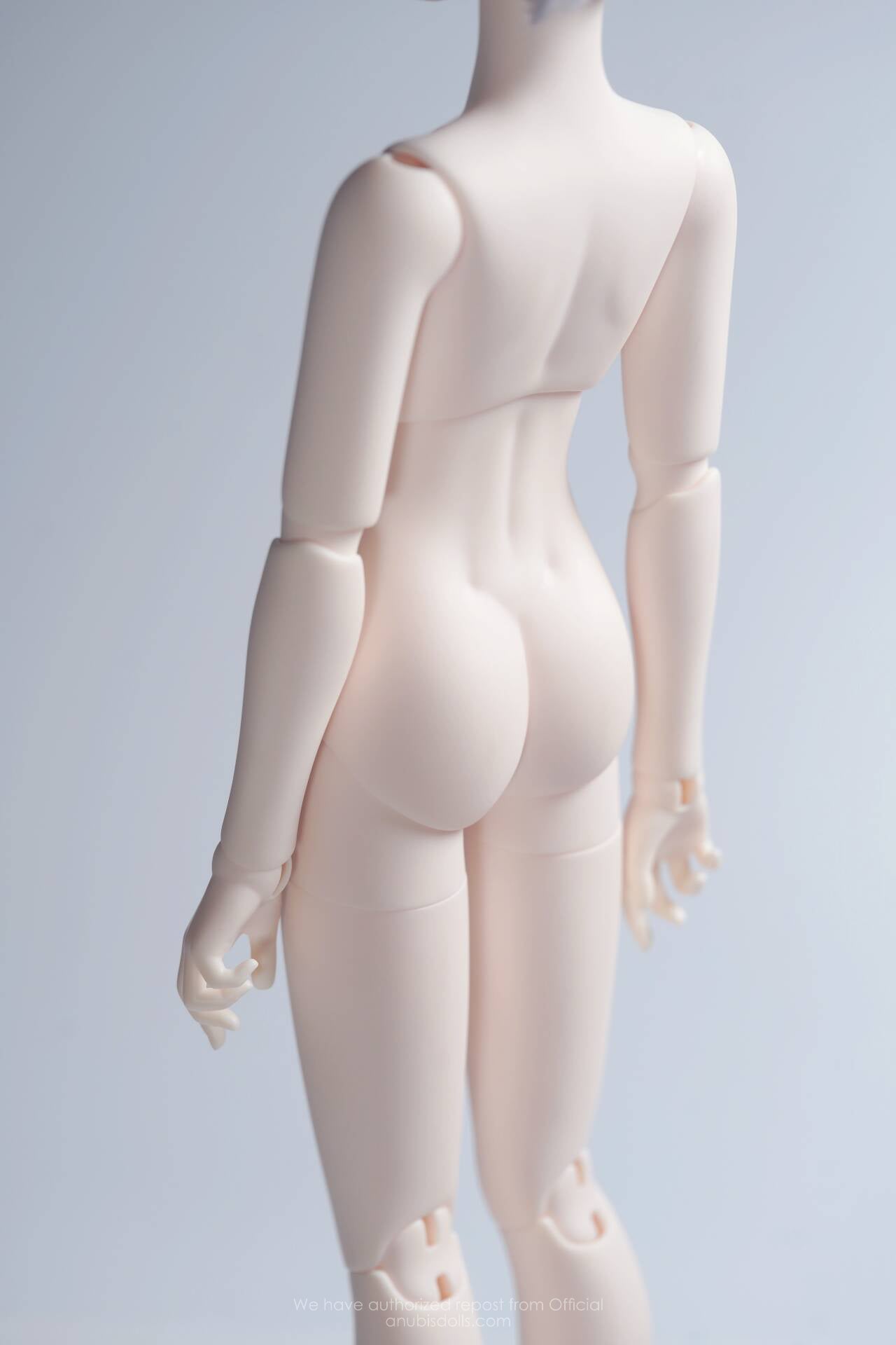 Caroro - White feather (BJD Body) : PreOrder - Anubis Doll Café