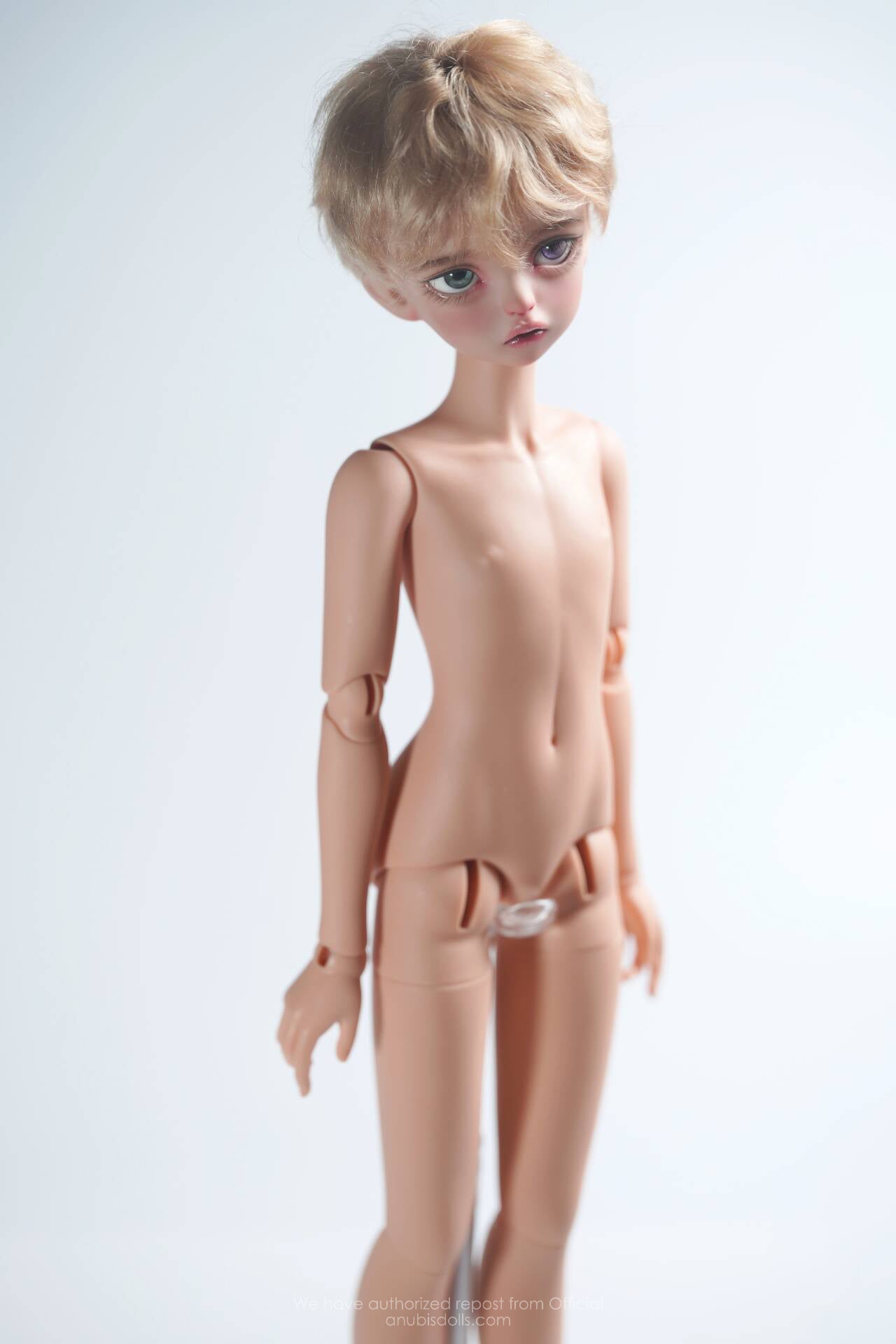 Caroro - White feather (BJD Body) : PreOrder - Anubis Doll Café