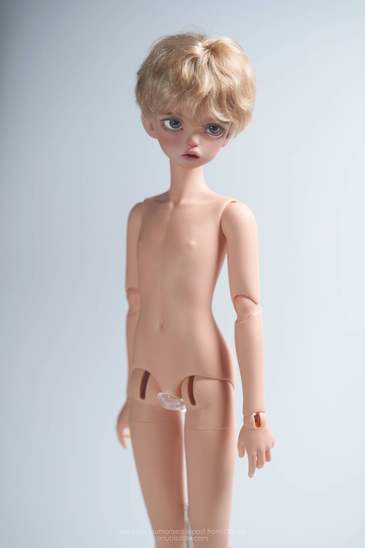 Caroro - White feather (BJD Body) : PreOrder - Anubis Doll Café