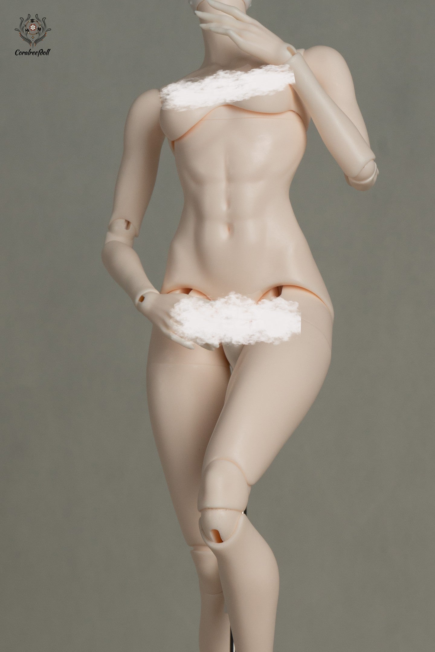 Coral Reef x Whale Island - Whale shark body 1/4 (BJD Body) : PreOrder - Anubis Doll Café