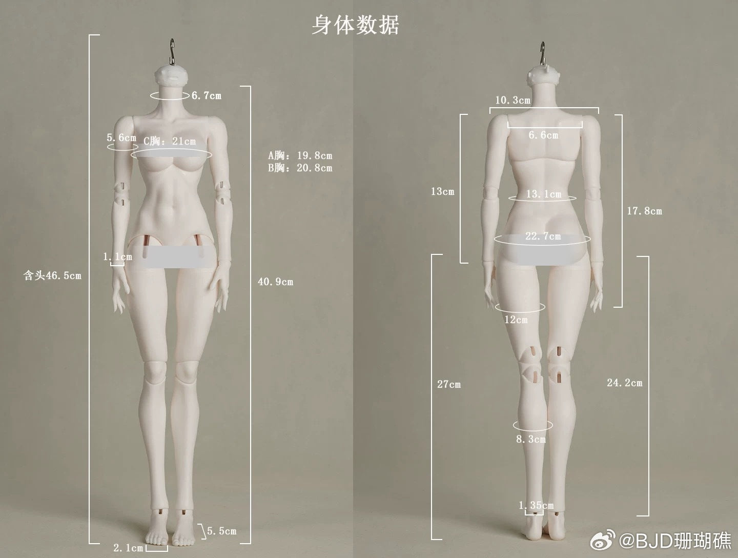 Coral Reef x Whale Island - Whale shark body 1/4 (BJD Body) : PreOrder - Anubis Doll Café