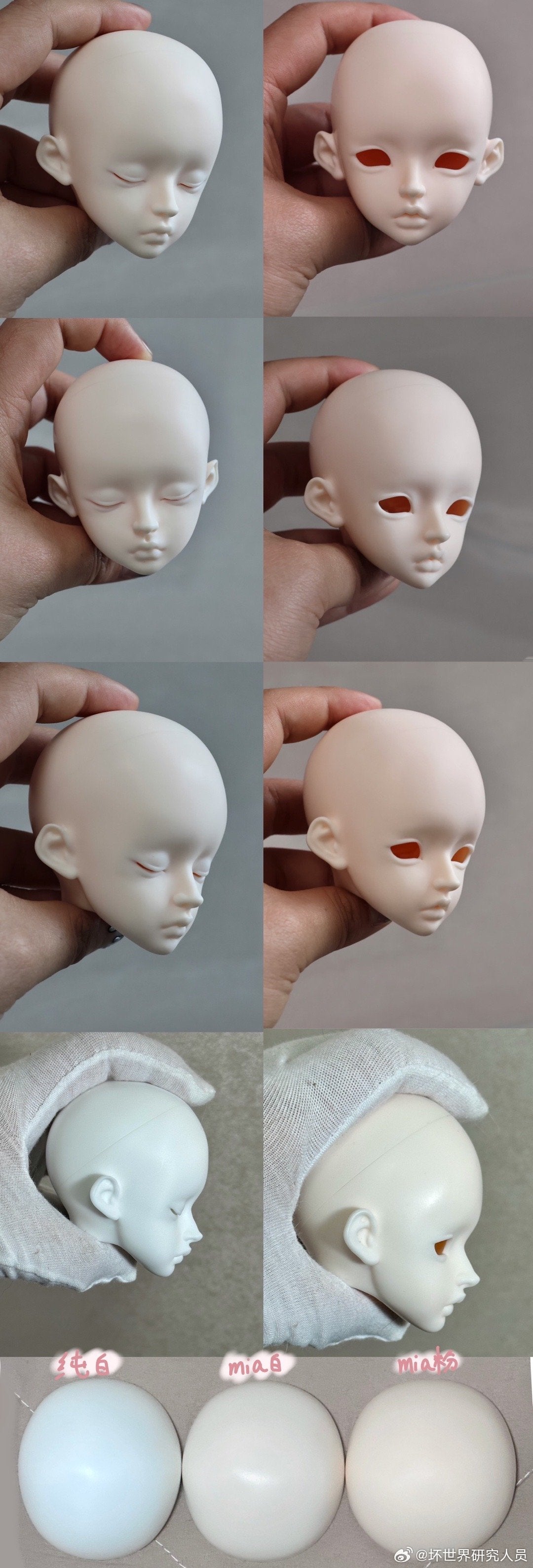 Dark world researcher - Gardenia sp & sleep (BJD Head) : PreOrder - Anubis Doll Café