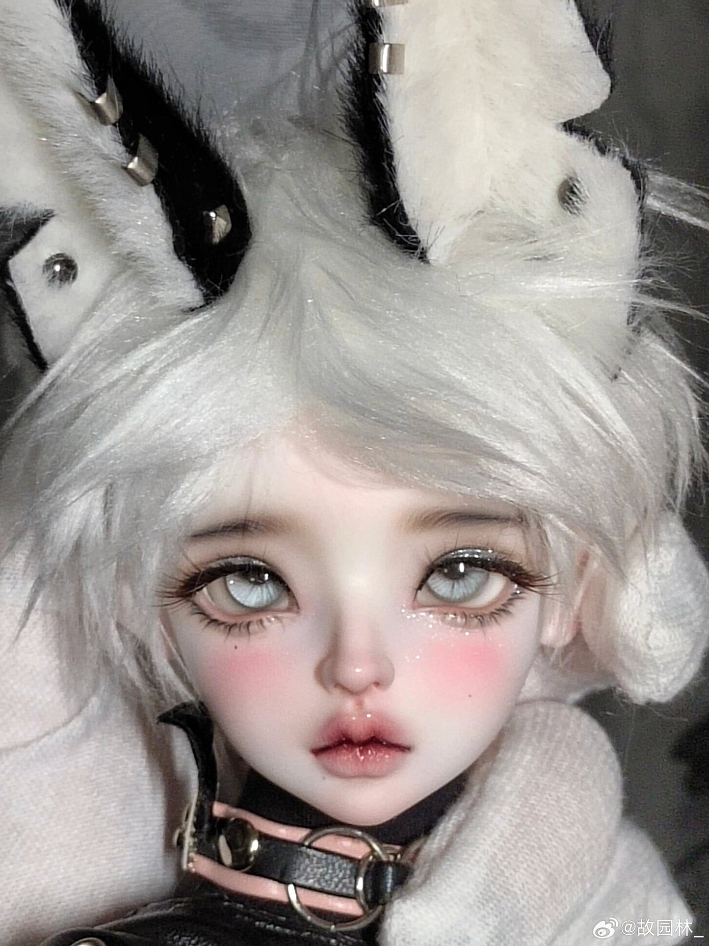 Dark world researcher - Gardenia sp & sleep (BJD Head) : PreOrder - Anubis Doll Café