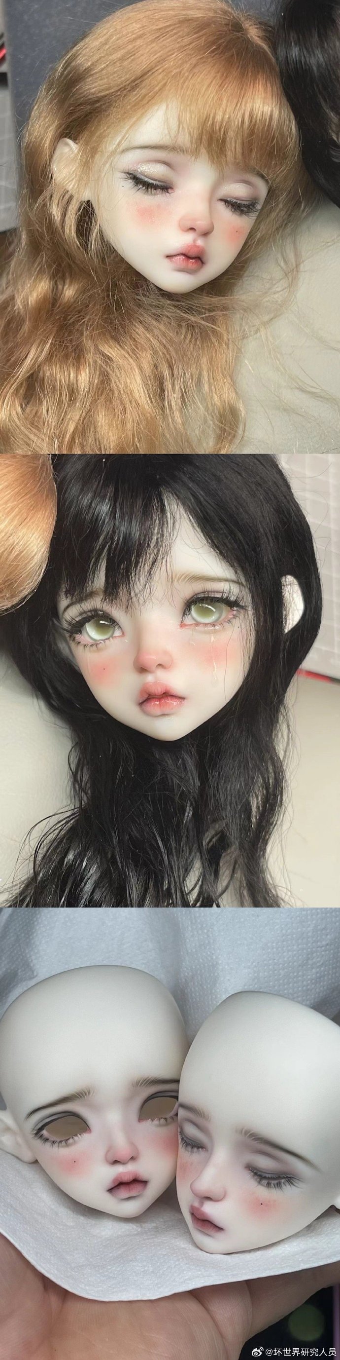 Dark world researcher - Gardenia sp & sleep (BJD Head) : PreOrder - Anubis Doll Café