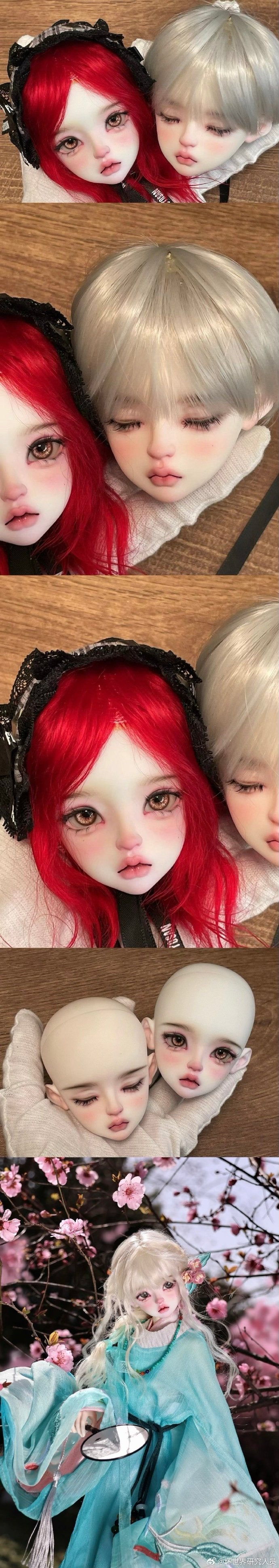 Dark world researcher - Gardenia sp & sleep (BJD Head) : PreOrder - Anubis Doll Café