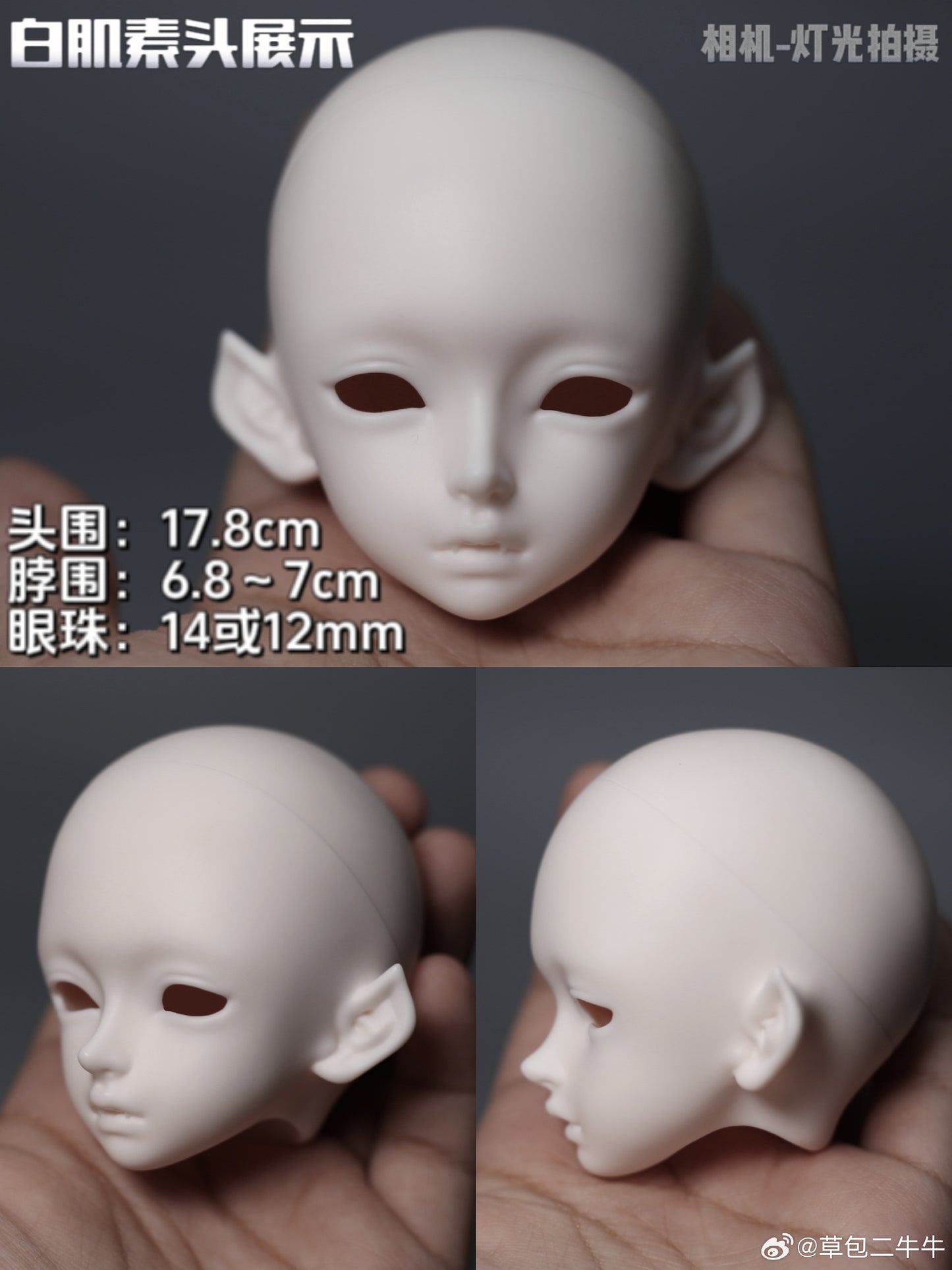 Erniu - Elvis (BJD Head) - Anubis Doll Café