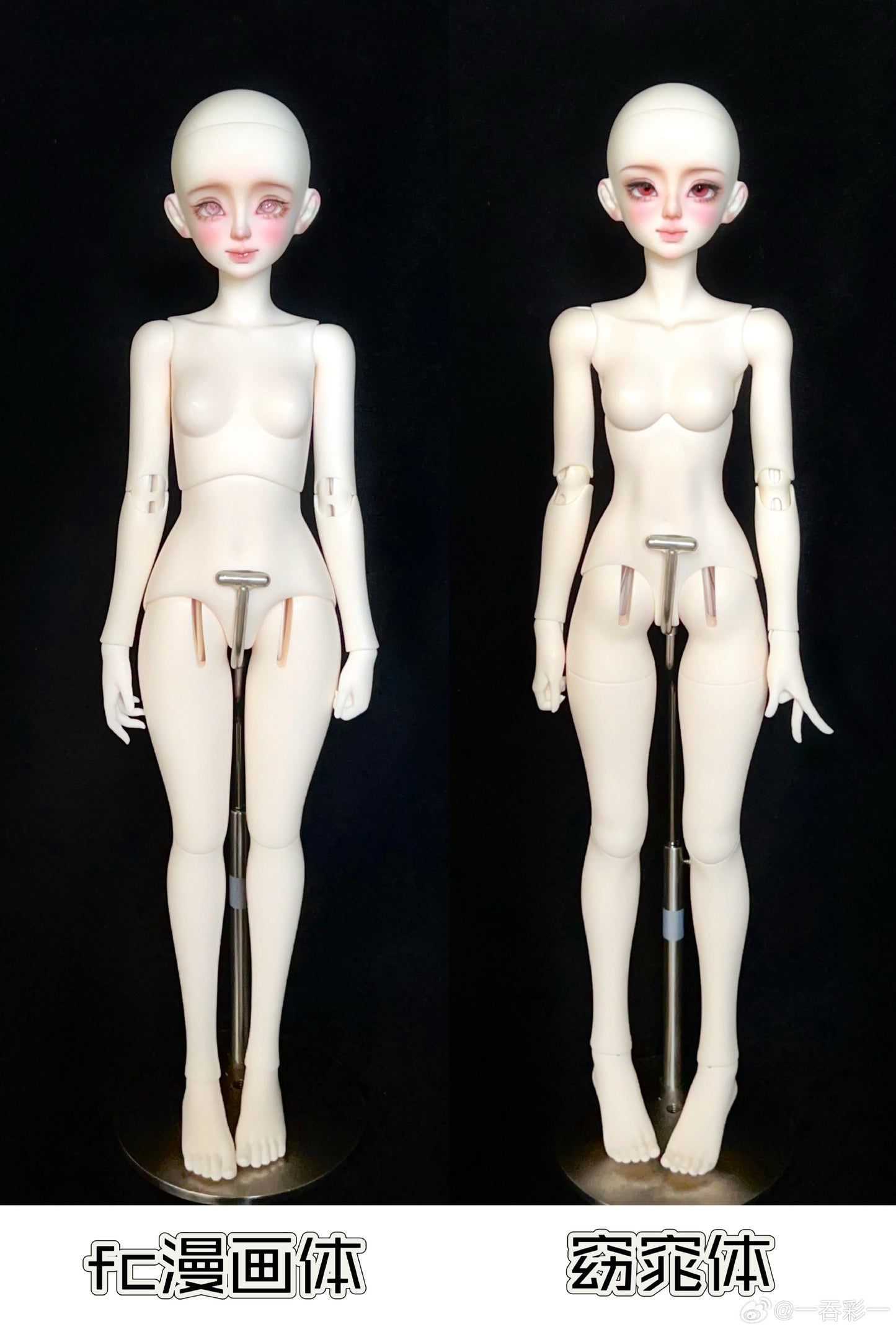 Half Sugar Galaxy - Anno (BJD Head) : PreOrder