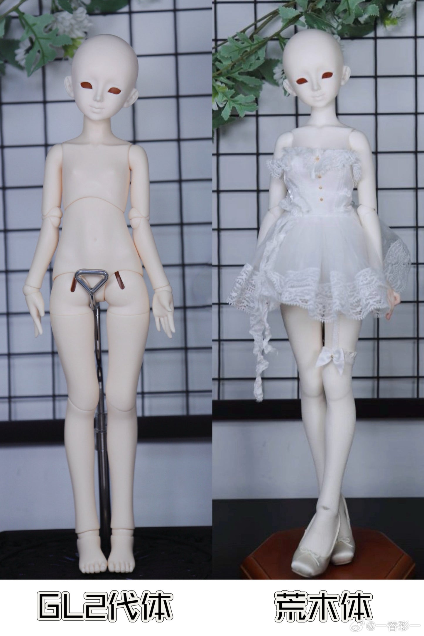 Half Sugar Galaxy - Anno (BJD Head) : PreOrder