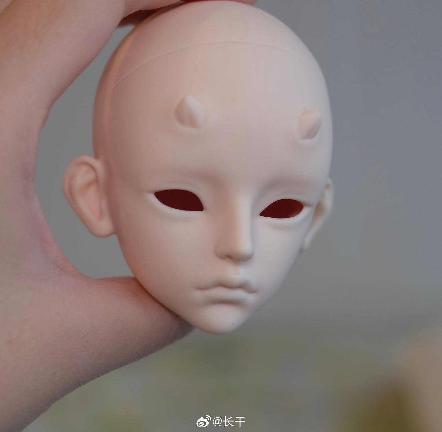 Long dry - Zhilong (BJD Head) - Anubis Doll Café