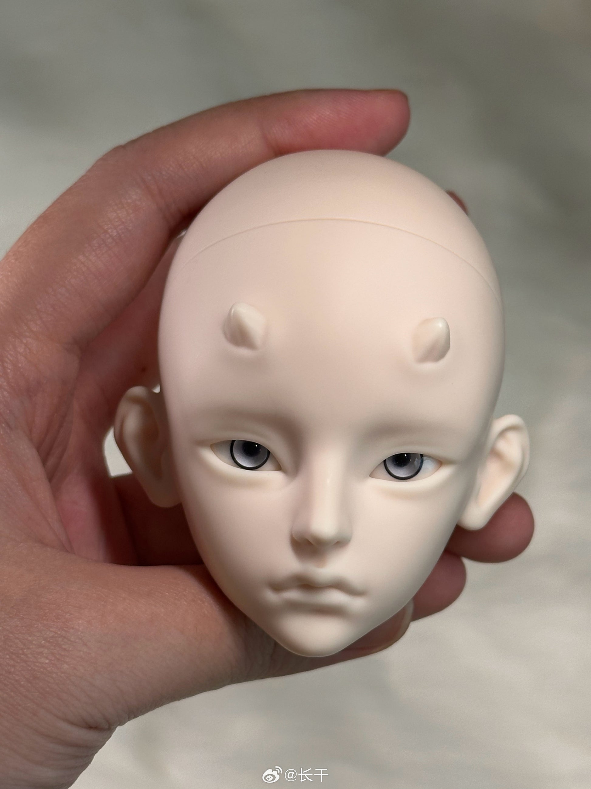 Long dry - Zhilong (BJD Head) - Anubis Doll Café