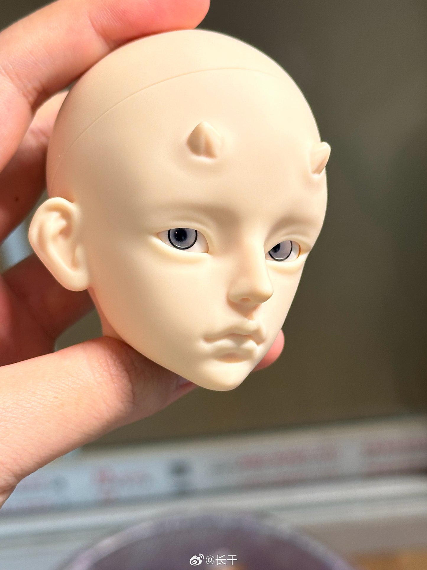 Long dry - Zhilong (BJD Head) - Anubis Doll Café