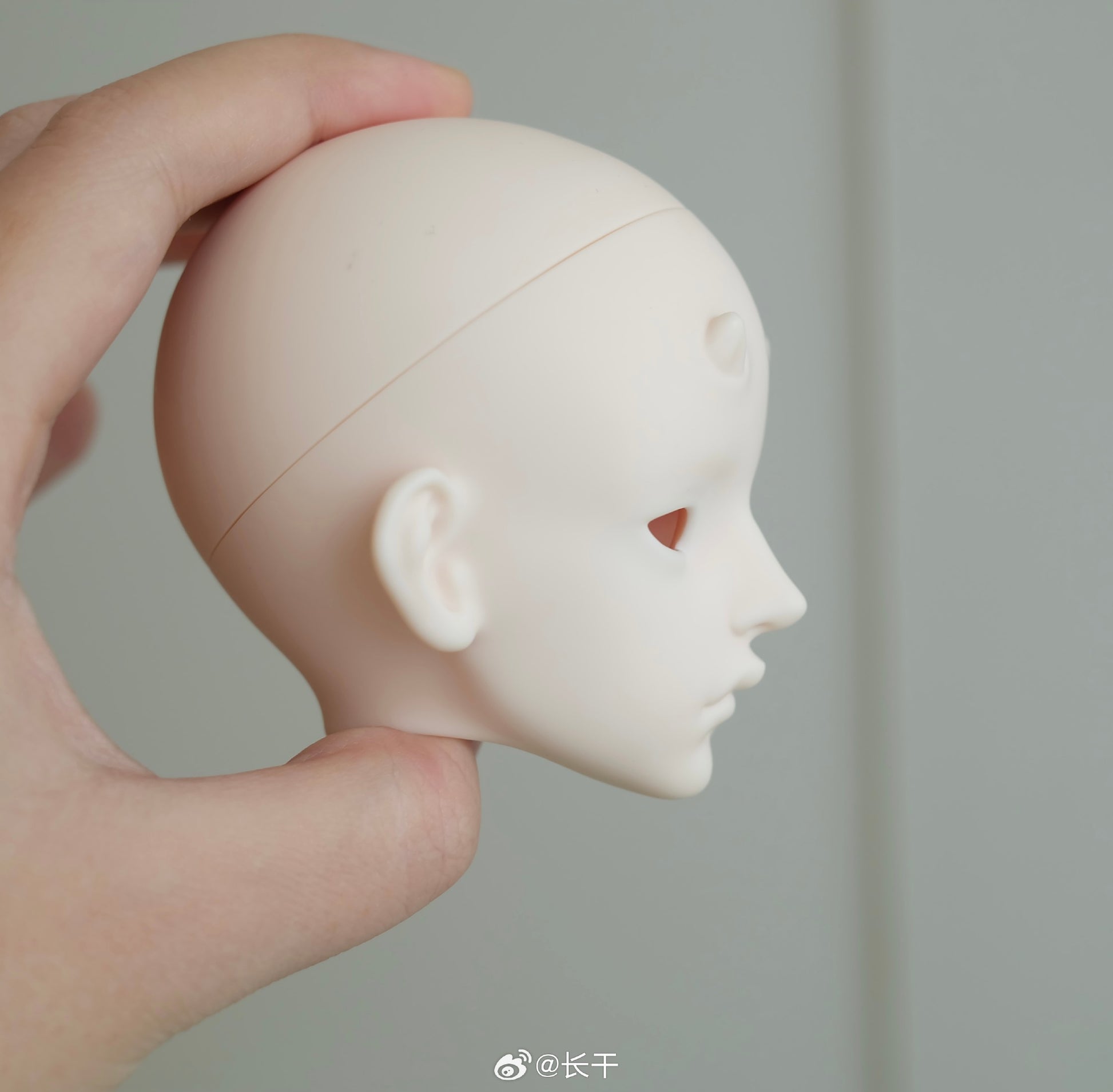 Long dry - Zhilong (BJD Head) - Anubis Doll Café